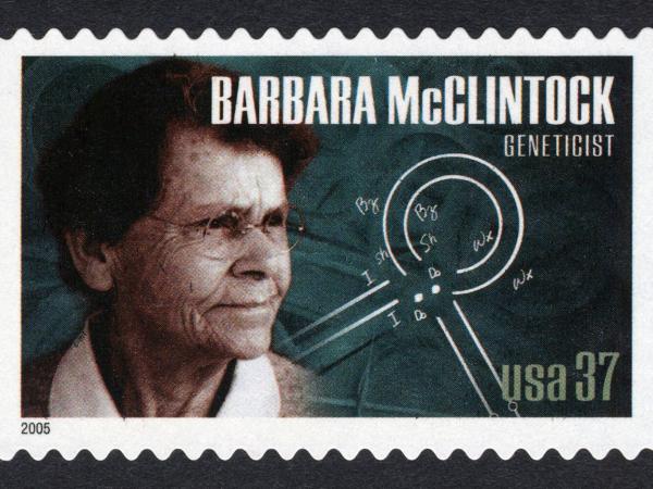 Blue stamp with a sepia photo of Barbara McClintock on it. The stamp also features a scientific drawing of her work on transposons and the words Barbara McClintock Geneticist.