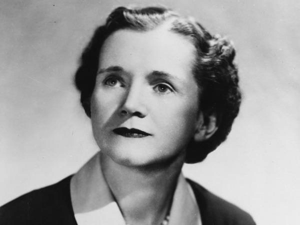 Rachel Carson stares off-camera. She does not smile.