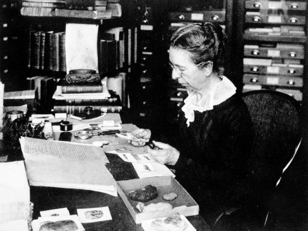 Mary Jane Rathbun examines crab specimens at her desk