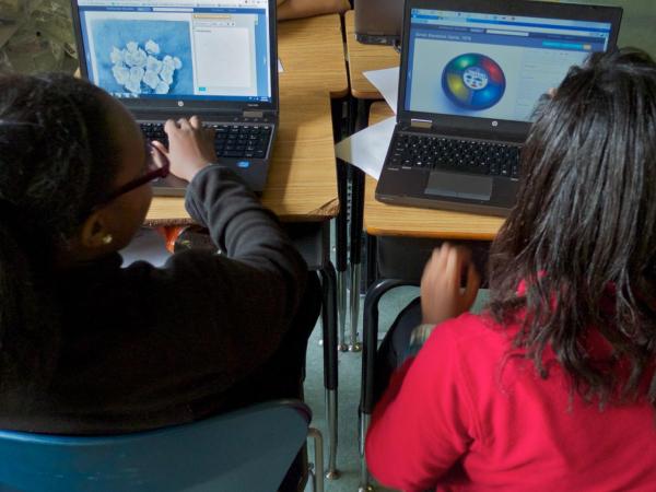 Two students look at Smithsonian Learning Lab on their laptop screens.