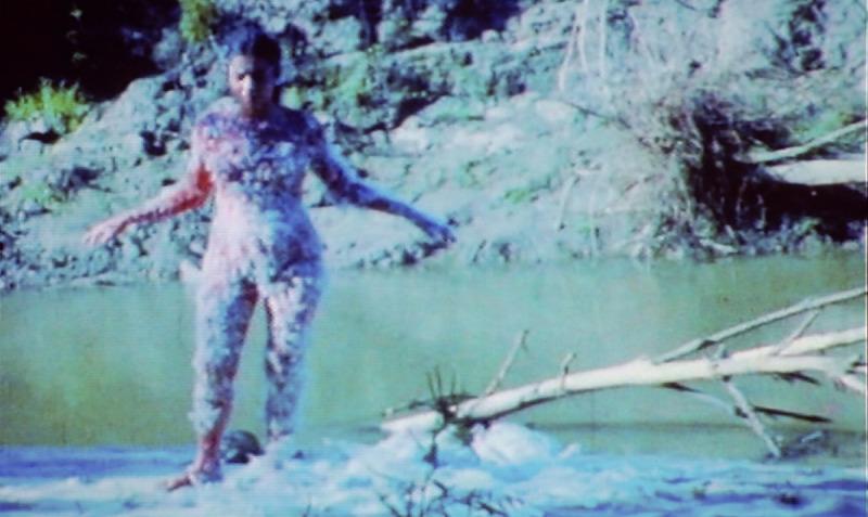 Ana Mendieta stands beside a river. She is naked and covered in feathers with her arms outstretched.