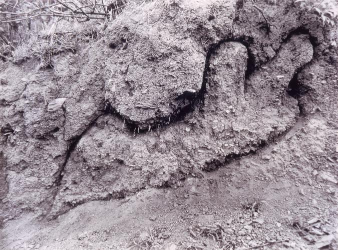 Eroded riverbank with a vaguely woman-shaped form carved into the earth