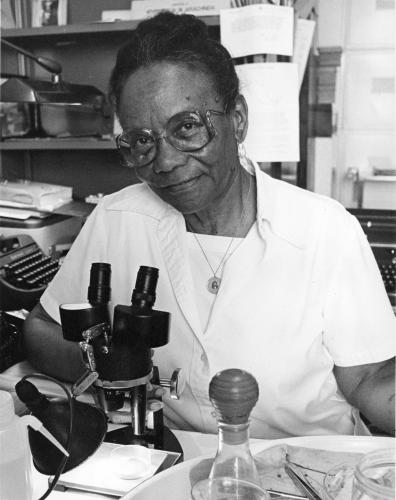 Sophie Lutterlough wears a lab coat and sits in front of a microscope in the Department of Entomology at the National Museum of Natural History.