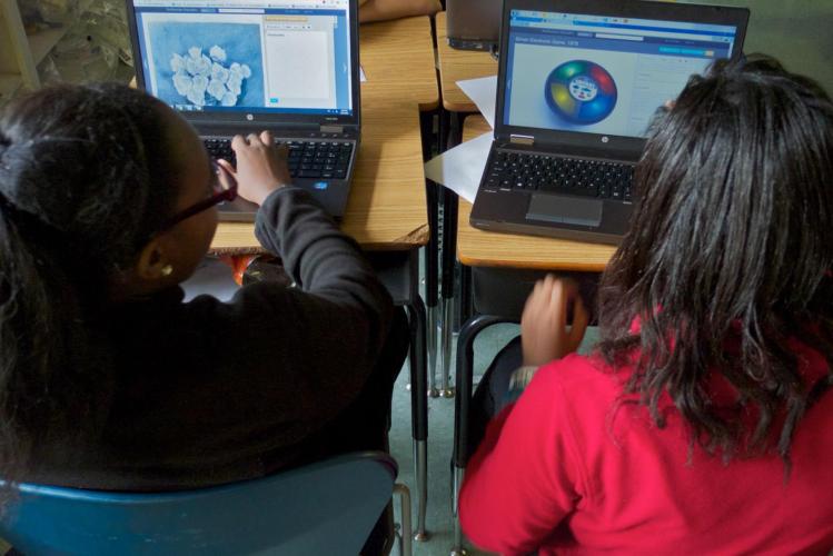 Two students look at Smithsonian Learning Lab on their laptop screens.