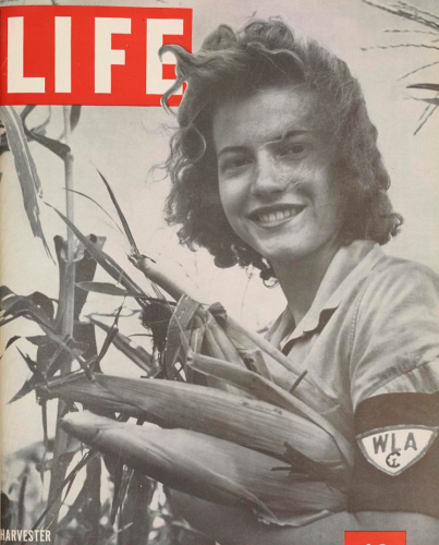 Life magazine cover featuring a young girl who smiles and gathers three ears of corn in her arms. She wears a cloth armband that reads "WLA"