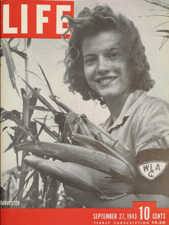 life magazine cover